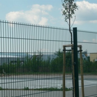 2D-4.jpg